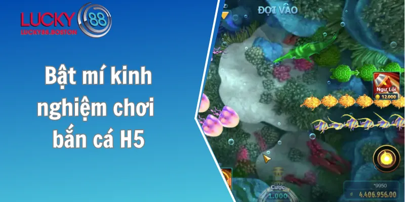 Bật mí kinh nghiệm chơi bắn cá H5 thành công