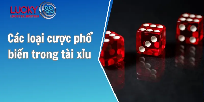 Các loại cược phổ biến trong tài xỉu