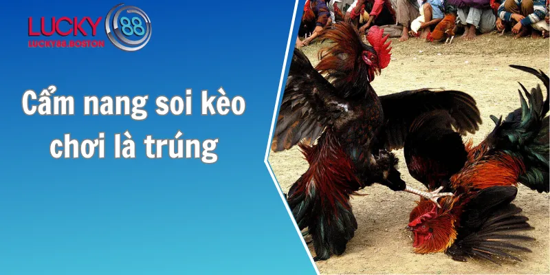 Cẩm nang soi kèo chơi là trúng