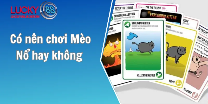 Có nên chơi Mèo Nổ trực tuyến hay không