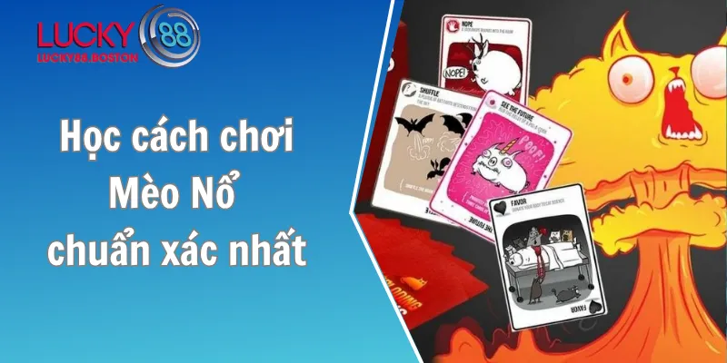 Học cách chơi Mèo Nổ chuẩn xác nhất