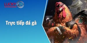 Trực tiếp đá gà
