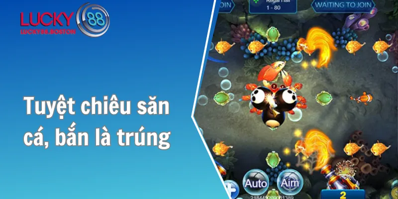 Tuyệt chiêu săn cá, bắn là trúng