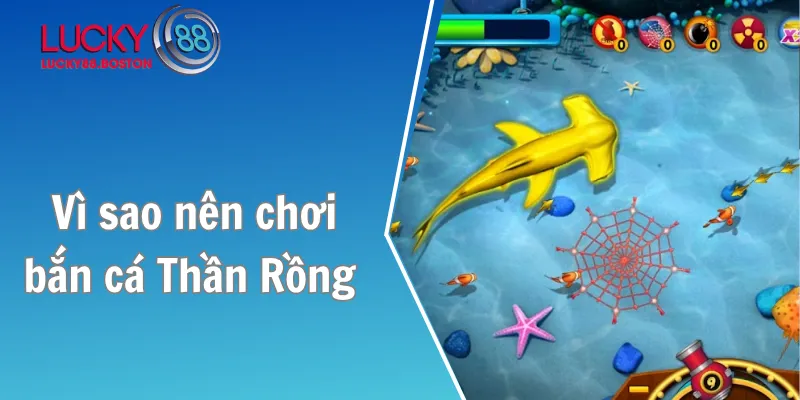 Vì sao nên chơi bắn cá Thần Rồng
